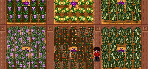 stardew valley giant crops|stardew valley most profitable crops.